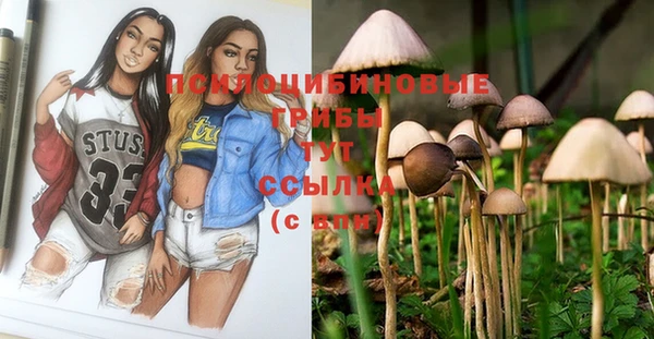 гидропоника Алексеевка
