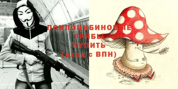 бутират Алзамай