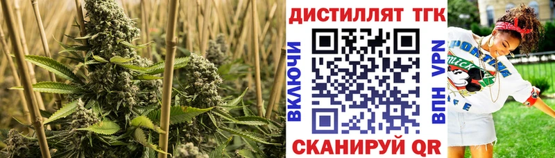 ТГК вейп с тгк  ссылка на мегу ССЫЛКА  Сосновоборск 