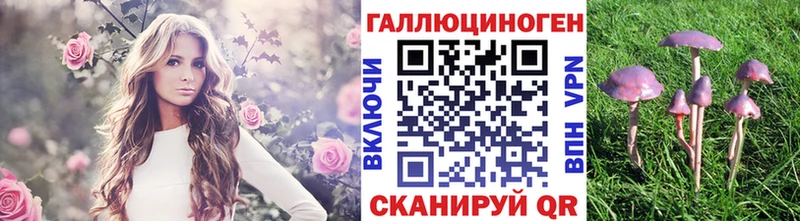 наркота Сосновоборск Галлюциногенные грибы прущие грибы