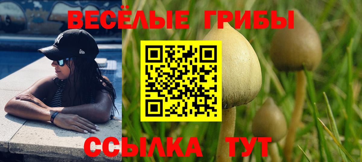 Галлюциногенные грибы Magic Shrooms  Вход с VPN  Сосновоборск 
